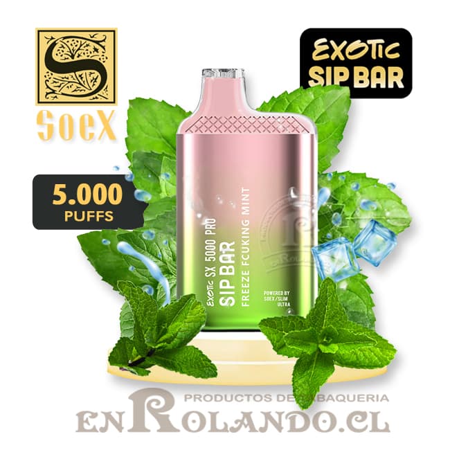 Vape Exotic Sip Bar - Freeze Fcuking Mint 5.000 Puffs